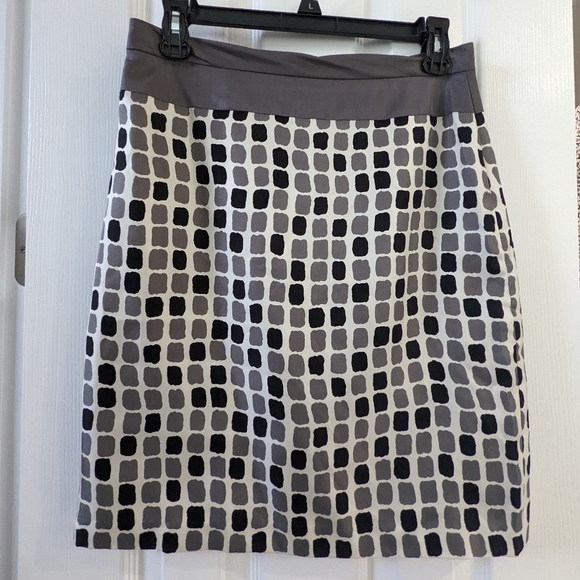 Baraschi (Anthropologie) Silk Skirt, Size 2 - Picture 1 of 4